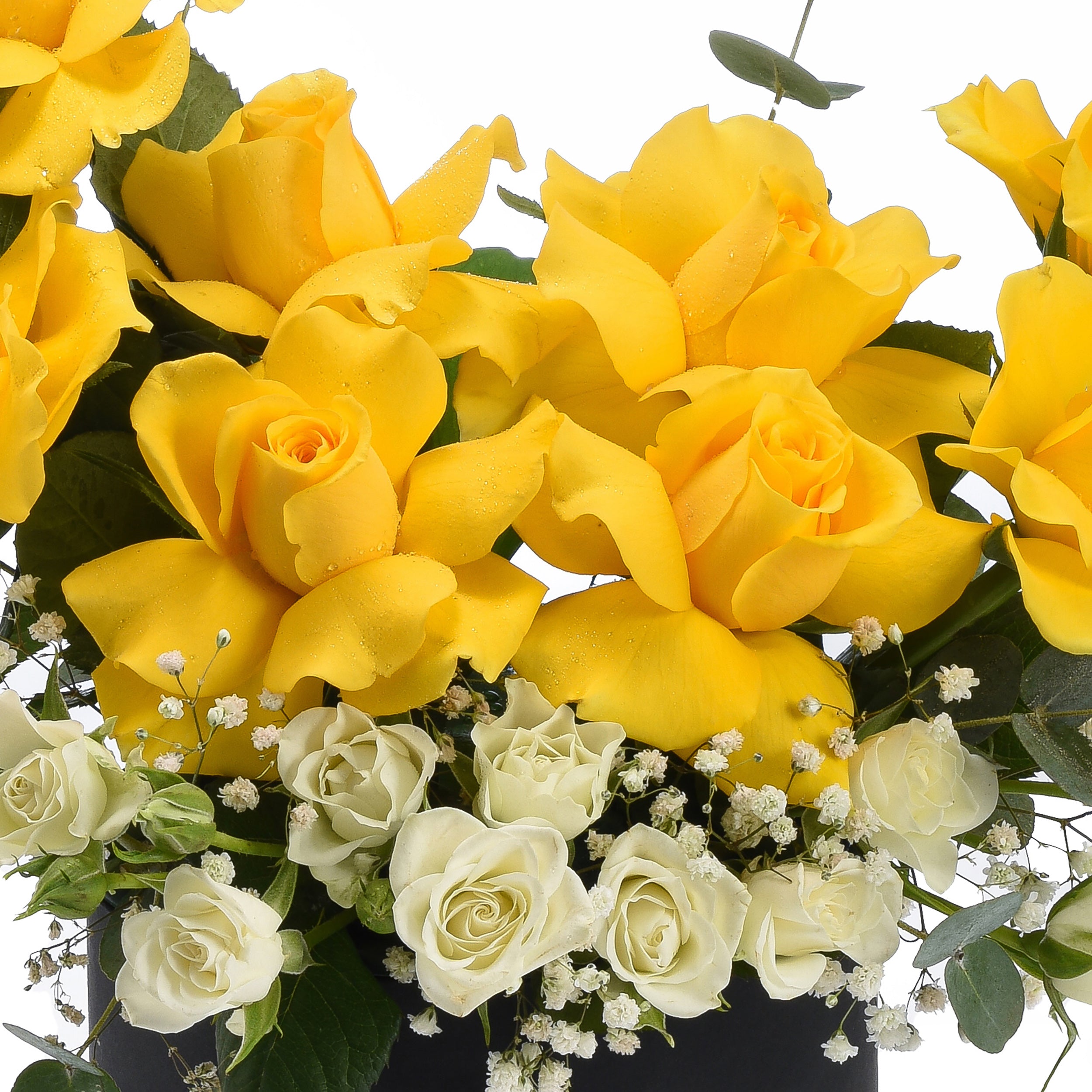 Sunshine & Snowflakes Black Bloom Box