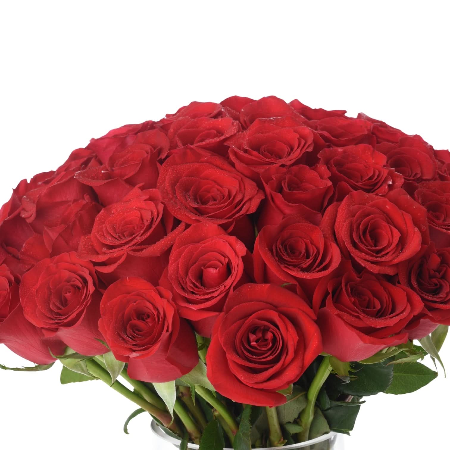 51 Red Roses In Glass Vase - Zuvees.ae