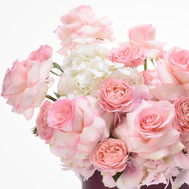 Soft pink roses and white hydrangeas, dew-kissed, elegant floral arrangement.