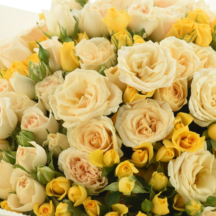 Laylat Al Noor Bouquet - Zuvees.ae