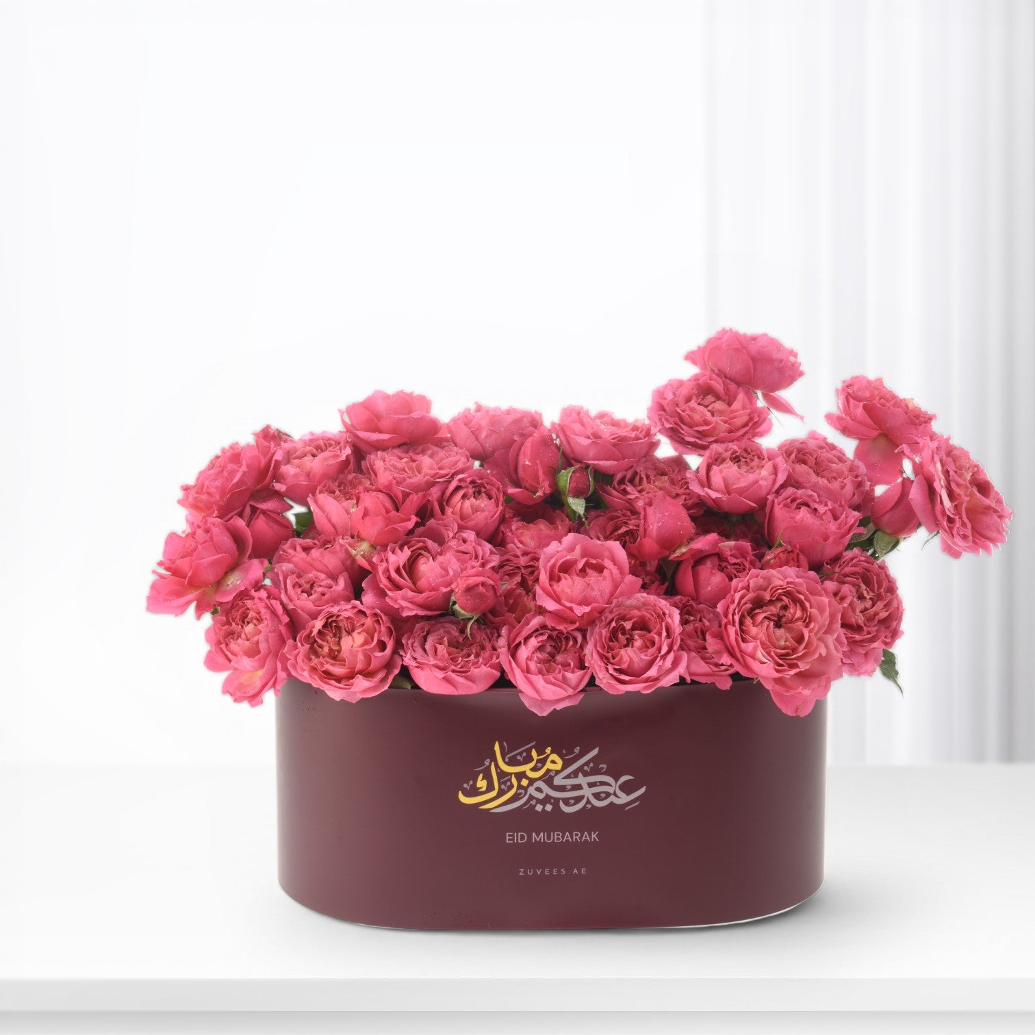 Noor of Juleita - Zuvees.ae