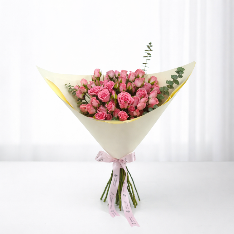 Whispers in Blush - Zuvees.ae