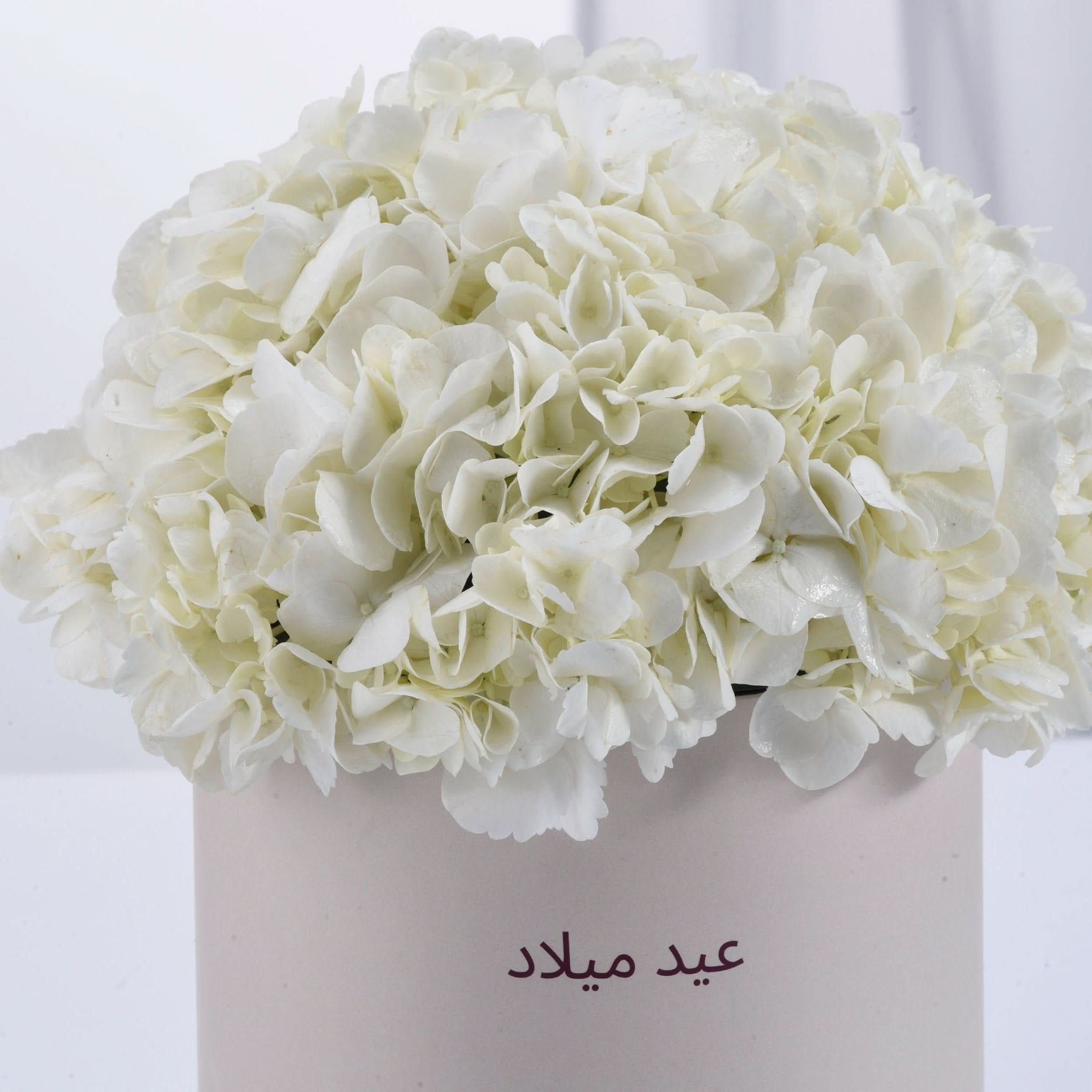 Pure Bliss Hydrangea Birthday Box - Zuvees.ae