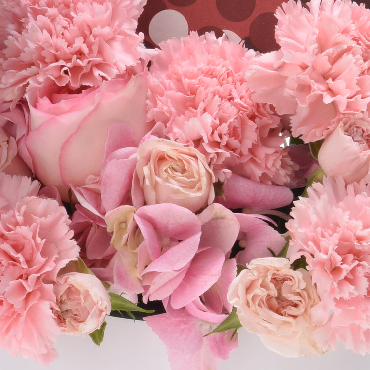 Soft pink carnations and roses in lush, layered bouquet with delicate gradients.