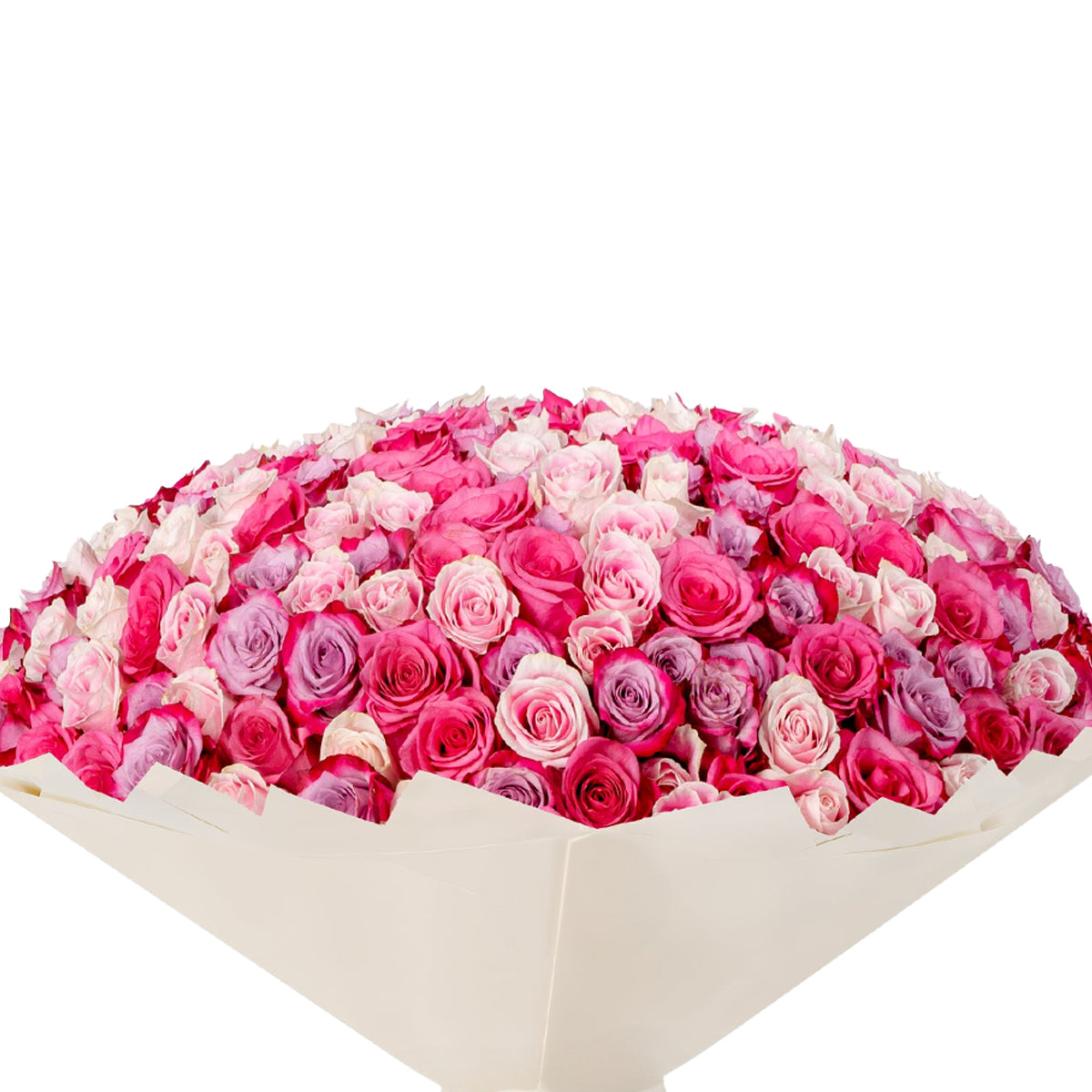 365 Blush Bloom - Zuvees.ae