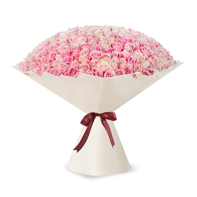 365 Pink Blush Bloom - Zuvees.ae