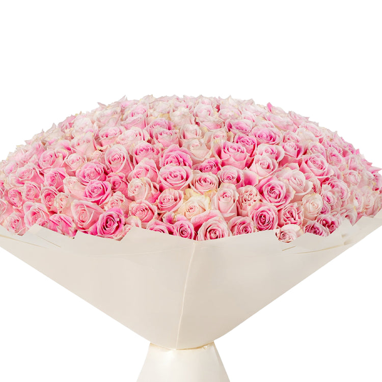 365 Pink Blush Bloom - Zuvees.ae