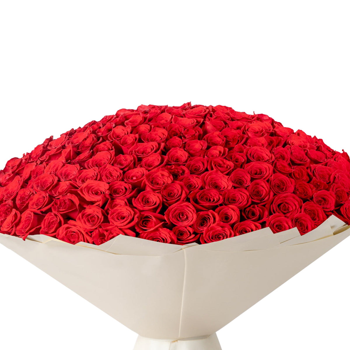 365 Red Blush Bloom - Zuvees.ae