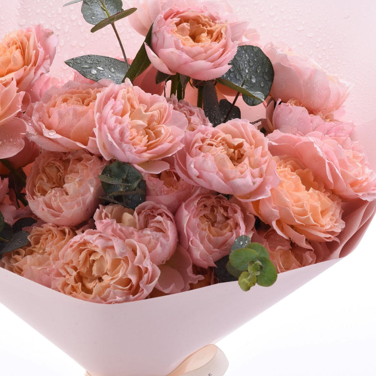 Blushing Grace - Zuvees.ae