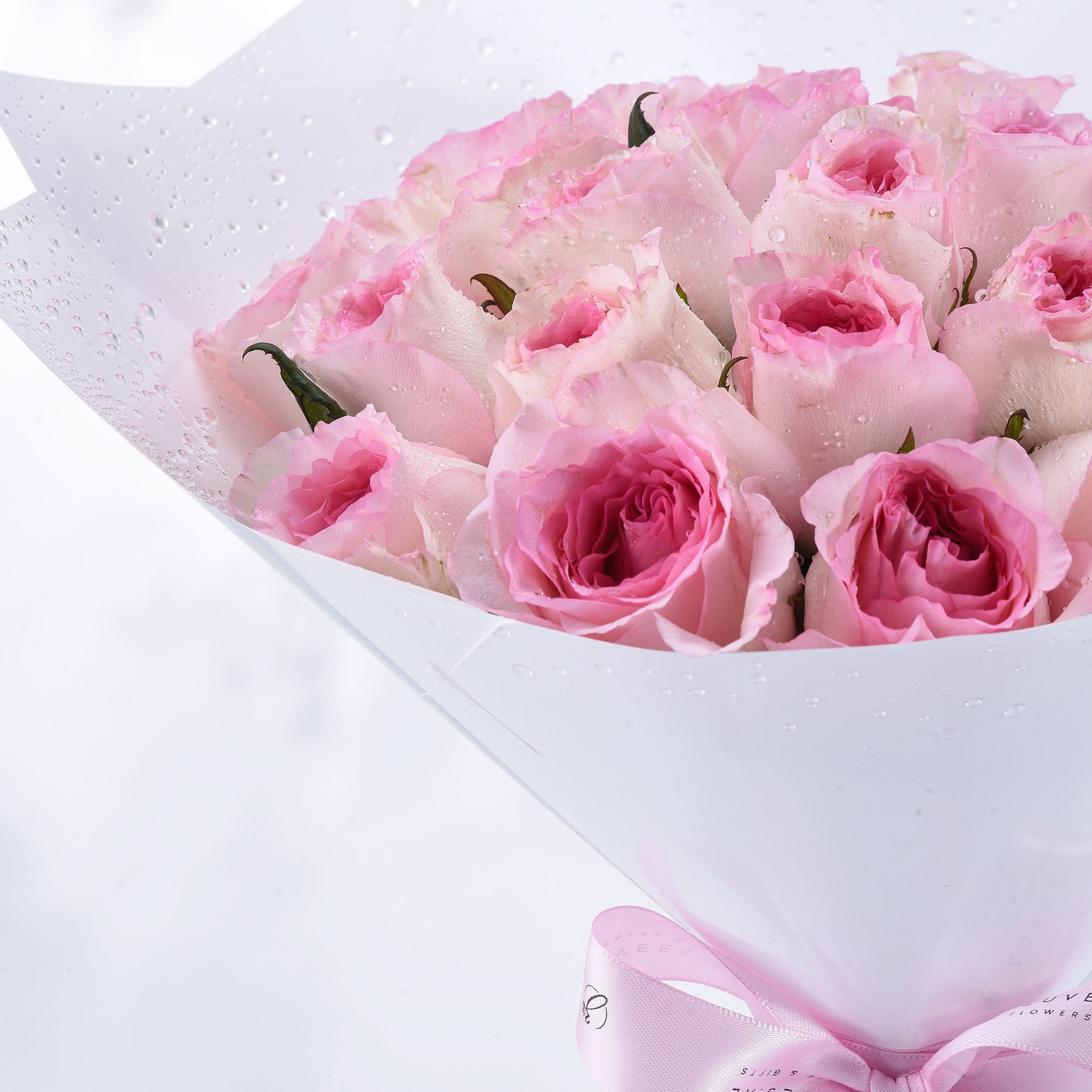 Soft pink roses glisten with dewdrops, wrapped elegantly in white paper and pink ribbon.