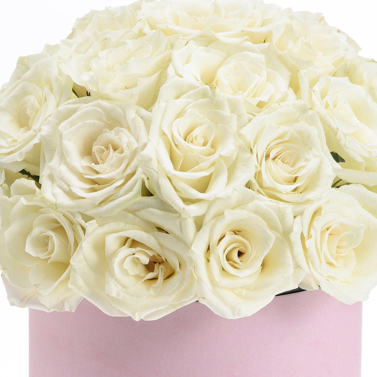 Noor Blooms Baby Girl Box - Zuvees.ae