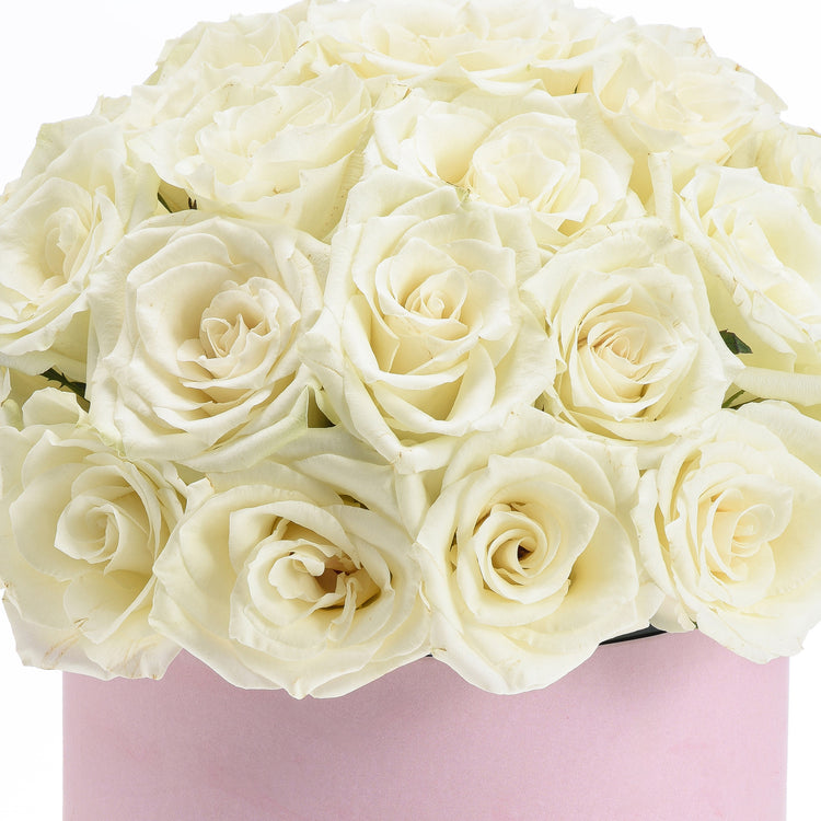 Noor Blooms Baby Girl Box - Zuvees.ae