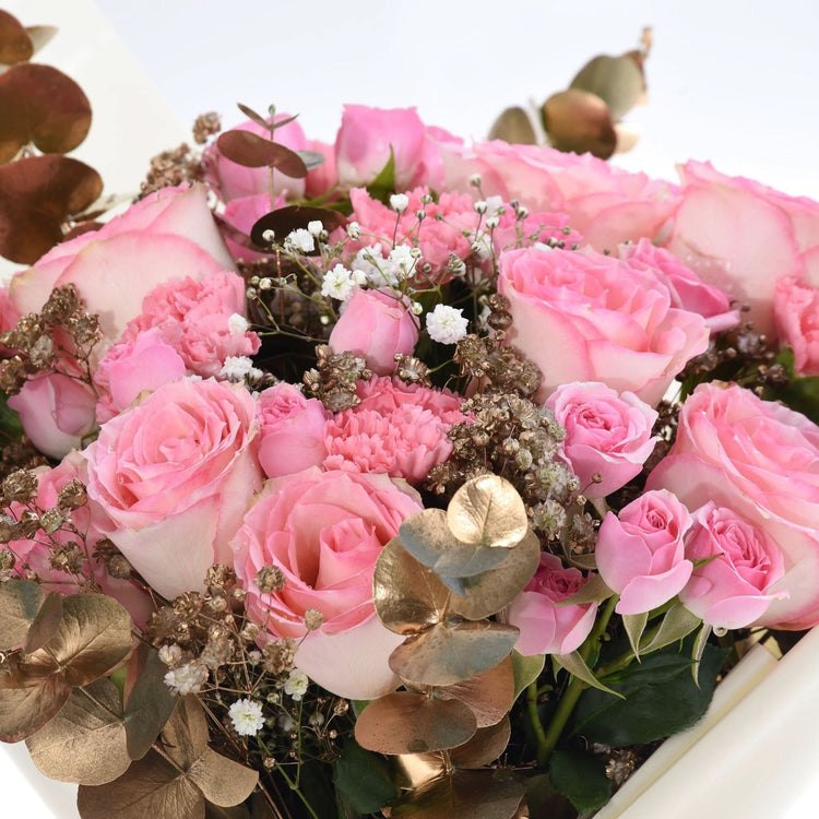 Soft pink roses, baby&