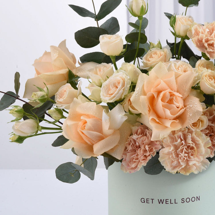Soft peach roses and carnations with dewdrops in mint vase, “Get Well Soon” message.