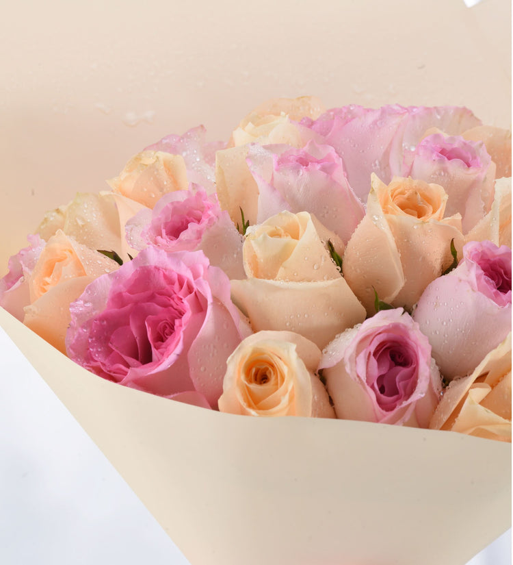 Soft pink and peach roses glisten with dewdrops in creamy wrapping.