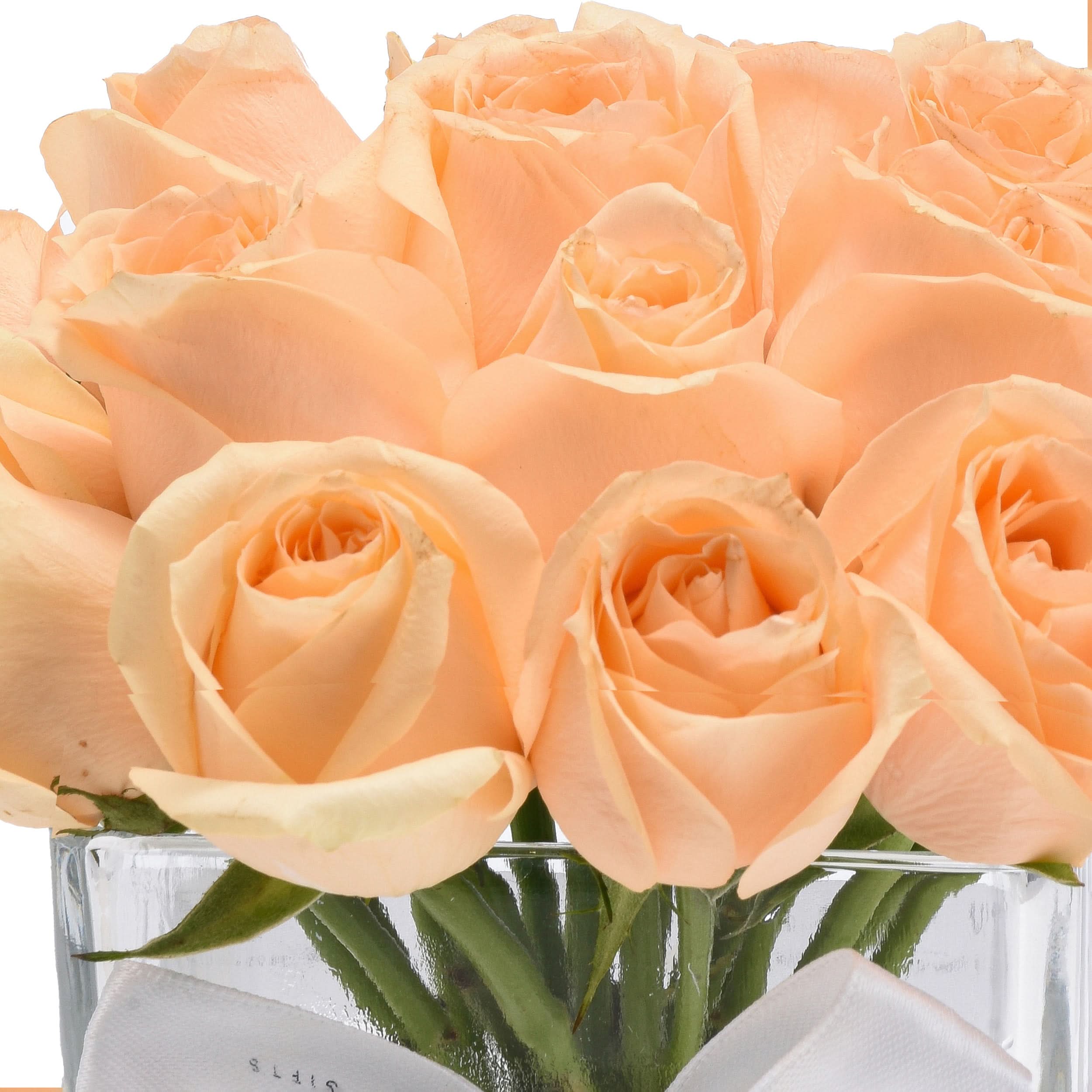 Soft peach roses in clear vase, white bow, elegant gift arrangement.