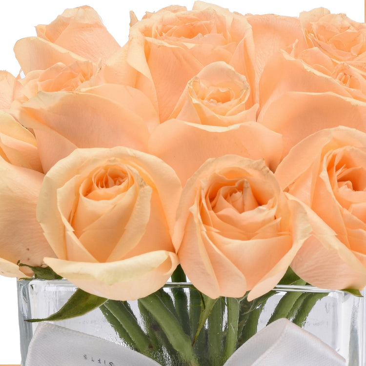 Soft peach roses in clear vase, white bow, elegant gift arrangement.
