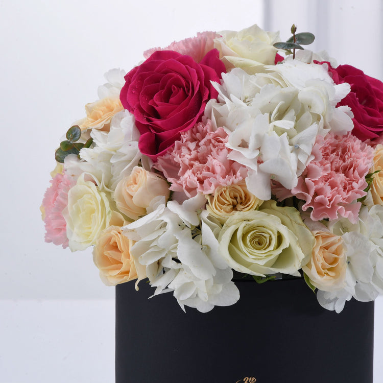 Pink Floyd & Black Bloom Box - Zuvees.ae