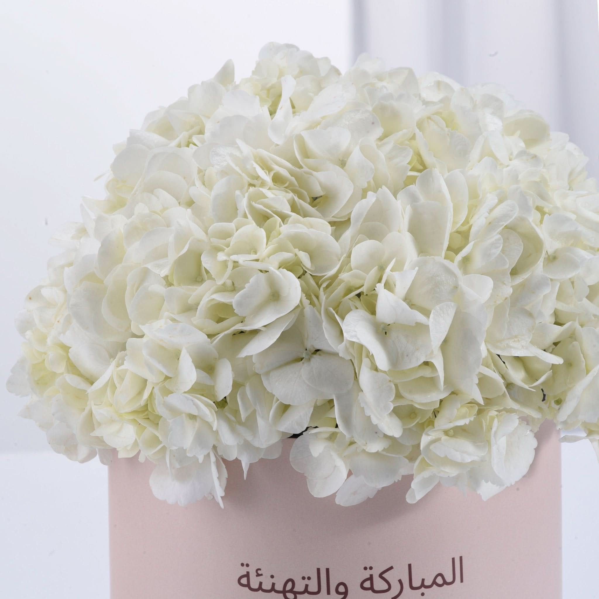 Pure Serenity Congratulations Bloom Box - Zuvees.ae