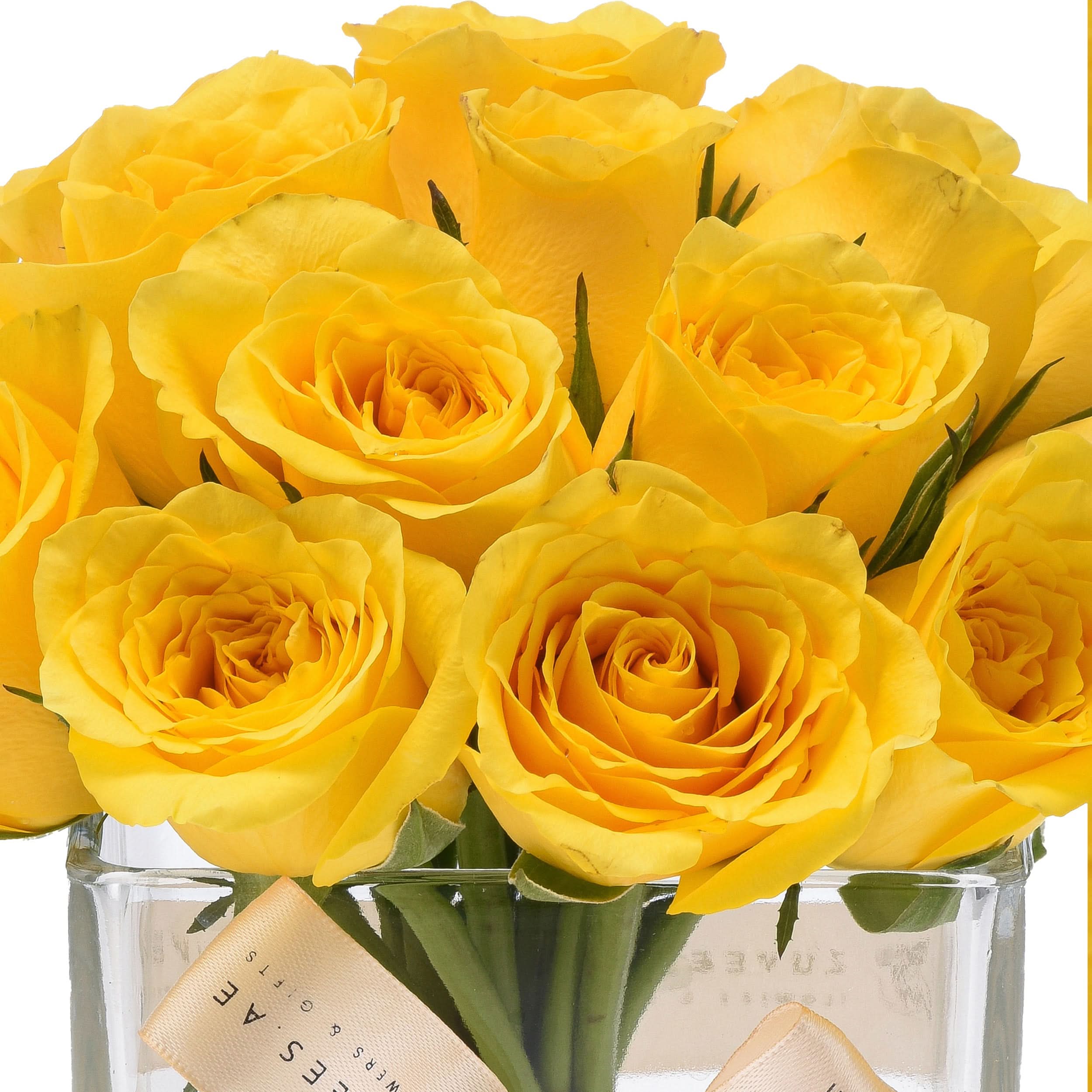Vibrant yellow roses in clear glass vase with elegant ribbon.