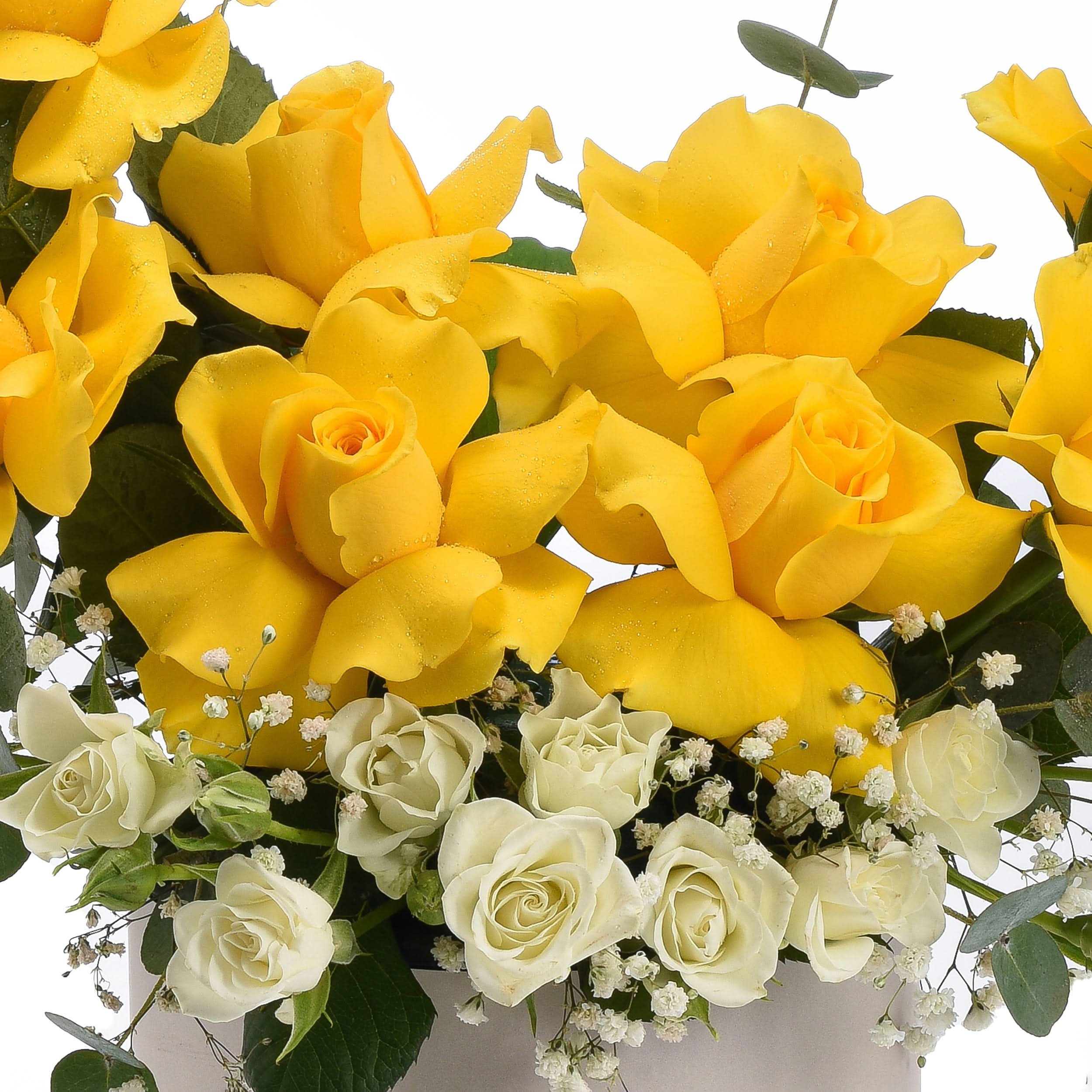 Vibrant yellow roses with dewdrops, accented by creamy white blooms and greenery.