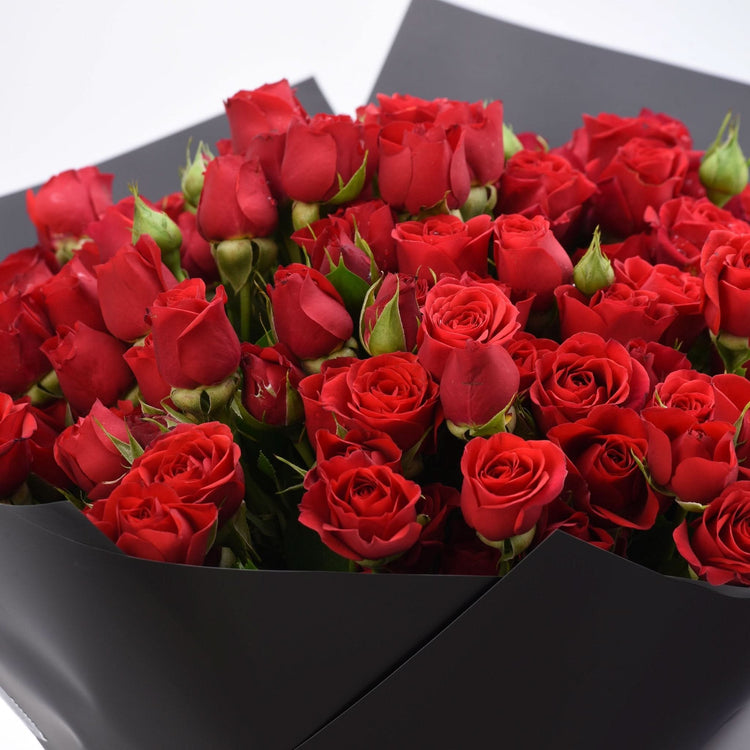 Vibrant red roses in sleek black wrapping, lush and fresh.
