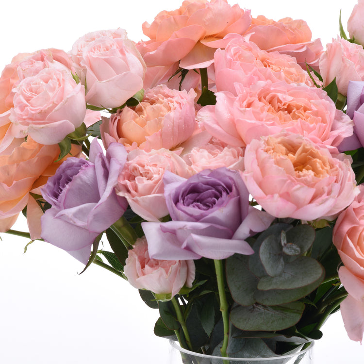 Violet Ember - Zuvees.ae