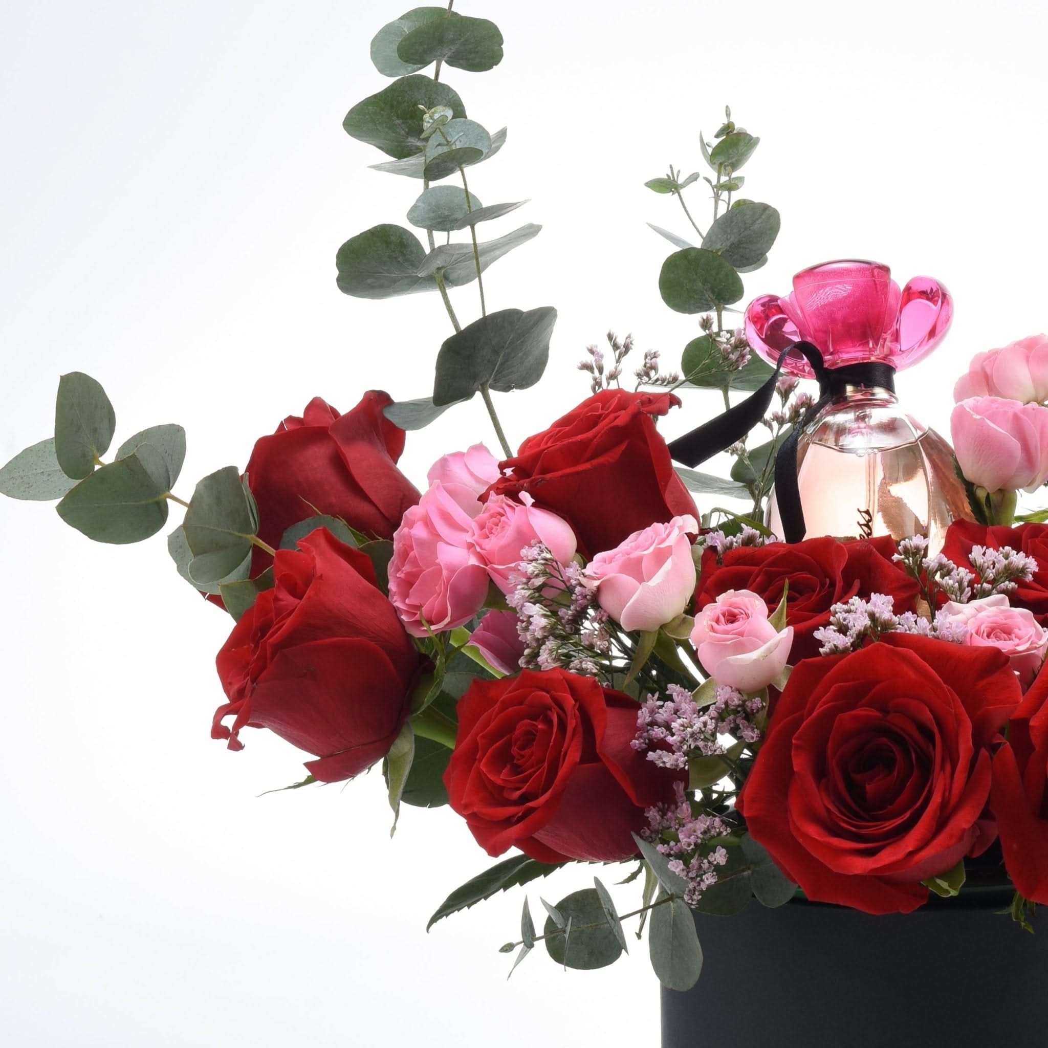 Zuvees Pink Luxe - Zuvees.ae