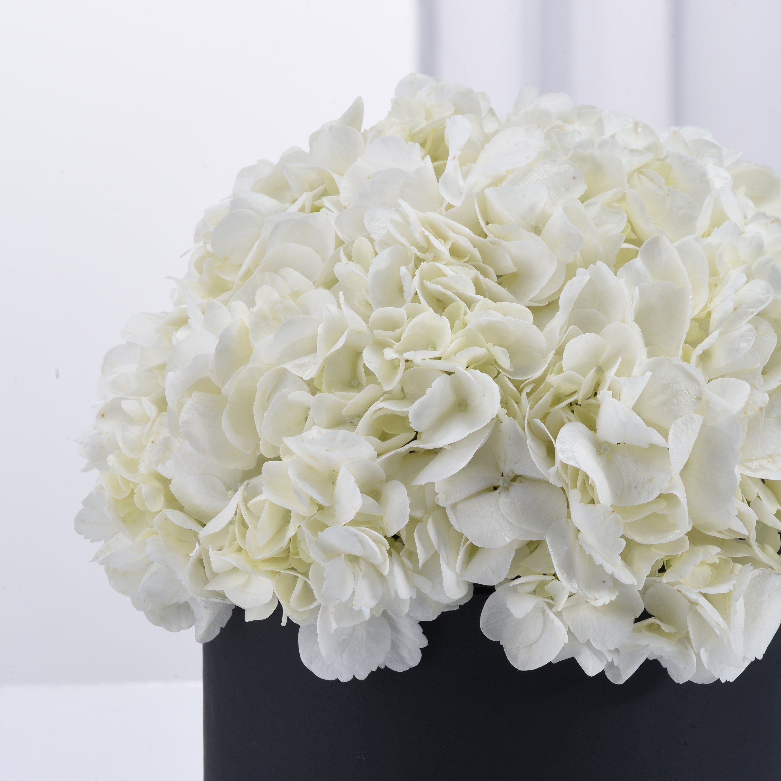 Pure Serenity Black Bloom Box