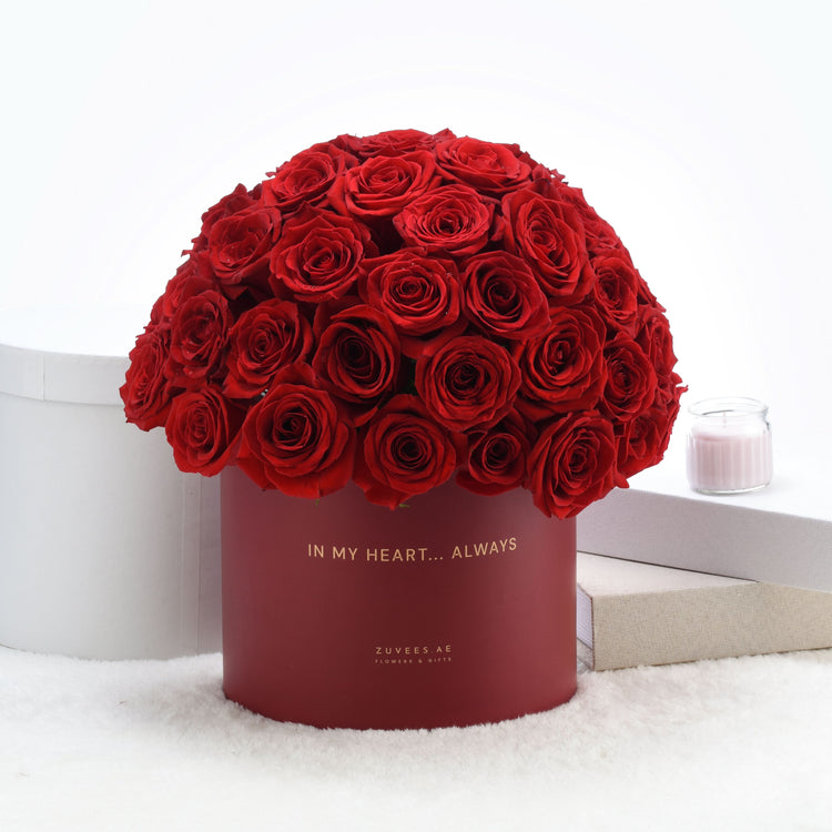 Timeless Love - Zuvees.ae