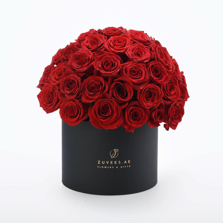 Timeless Love - Zuvees.ae