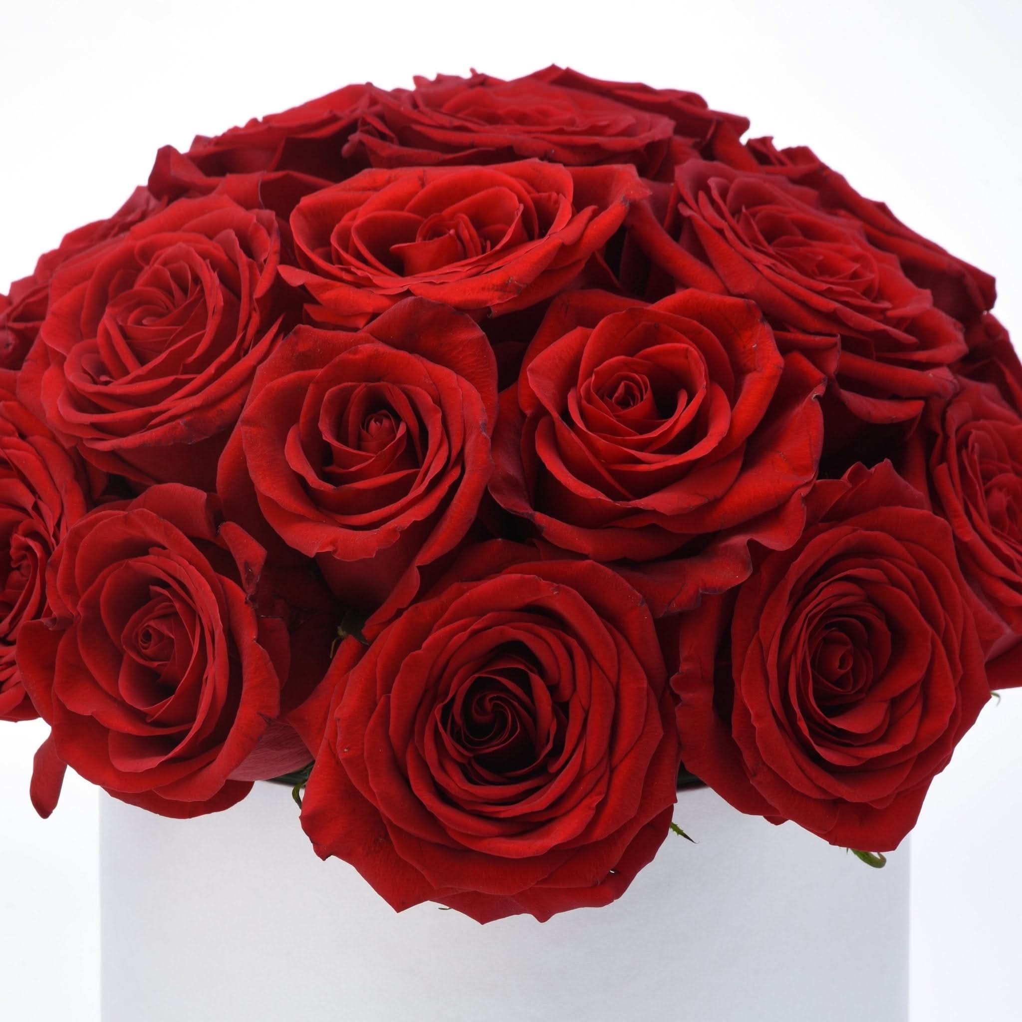 Timeless Love - Zuvees.ae