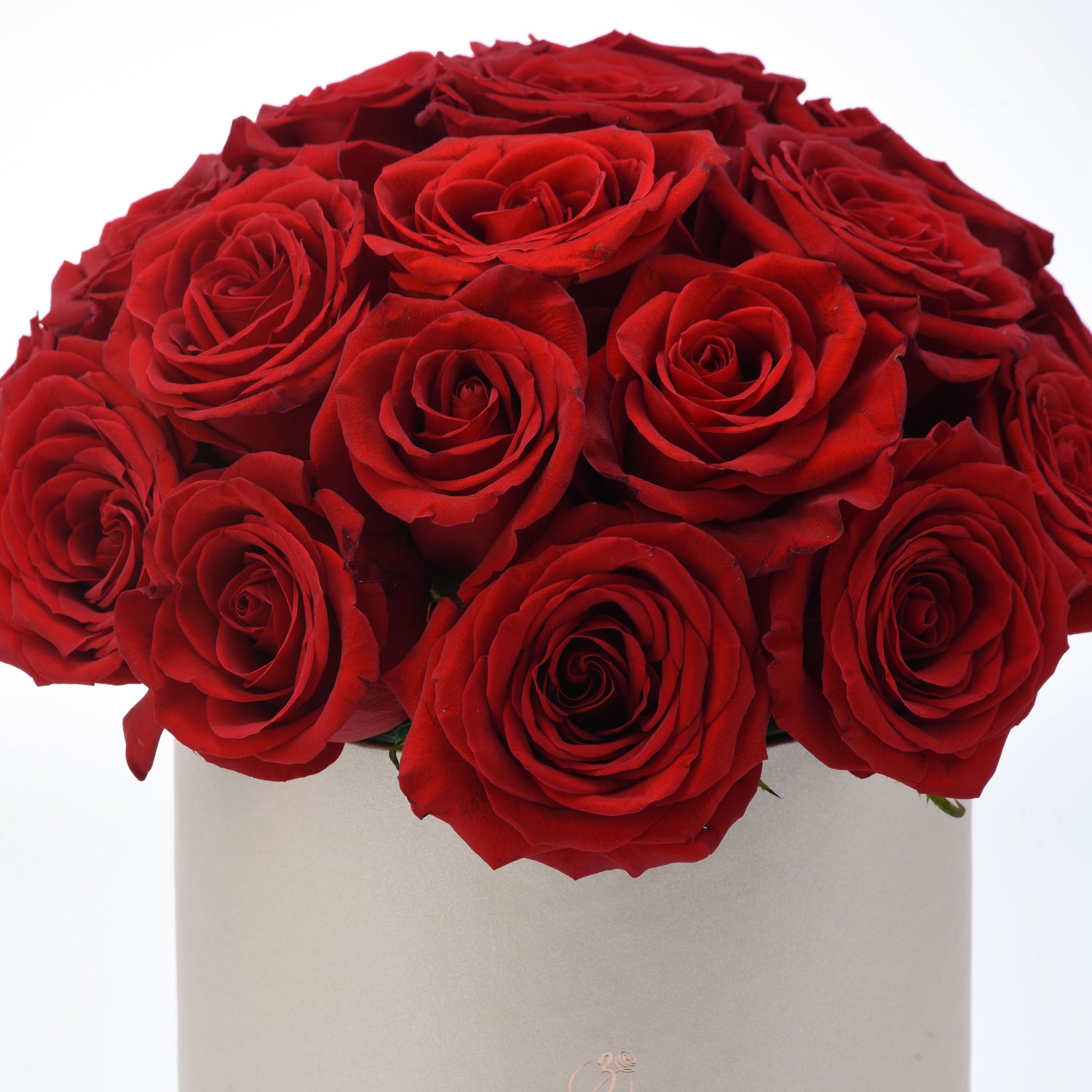 Timeless Love - Zuvees.ae