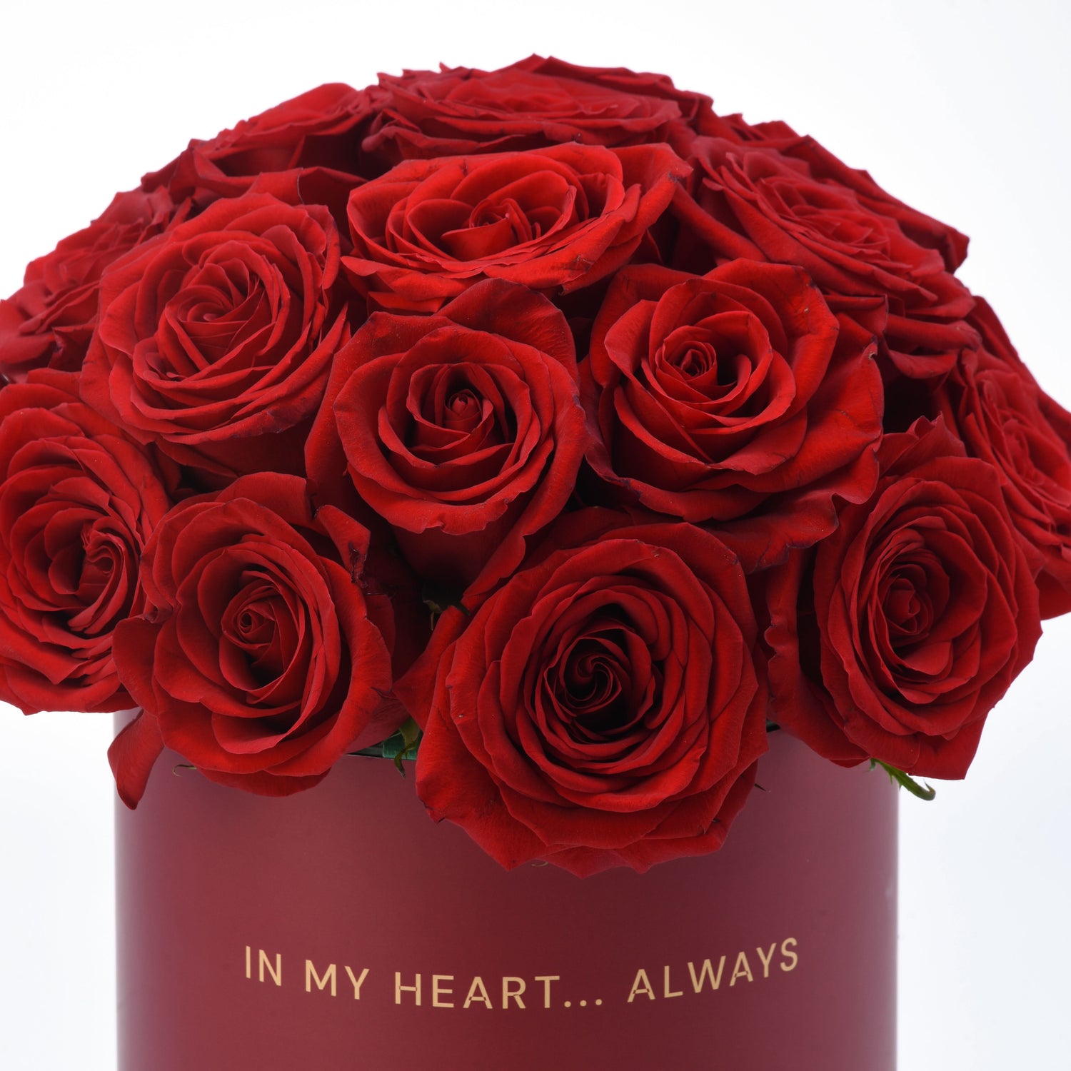 Timeless Love - Zuvees.ae