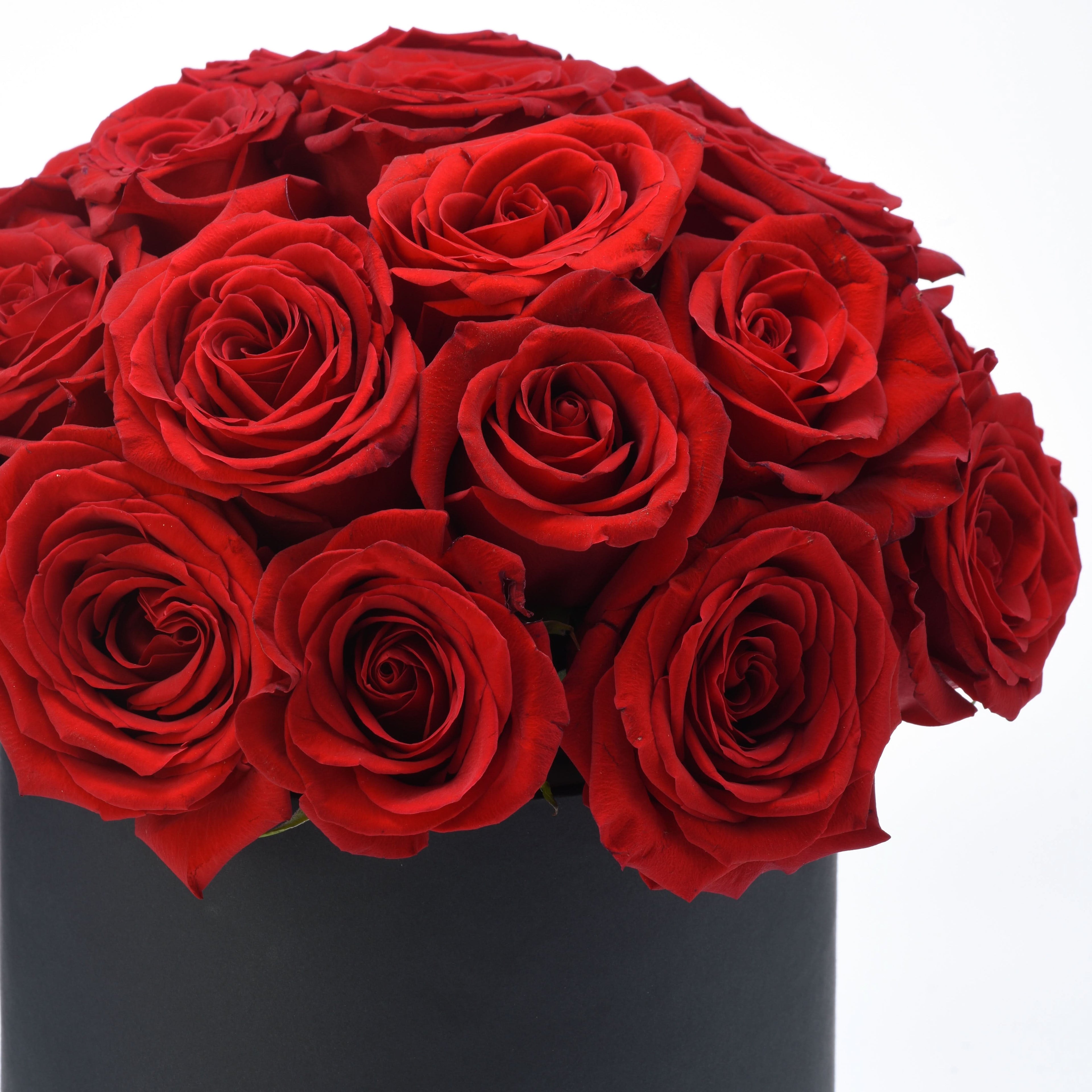 Timeless Love - Zuvees.ae