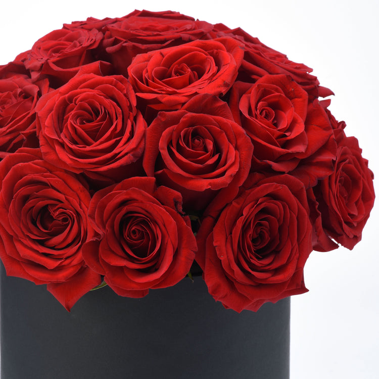 Timeless Love - Zuvees.ae