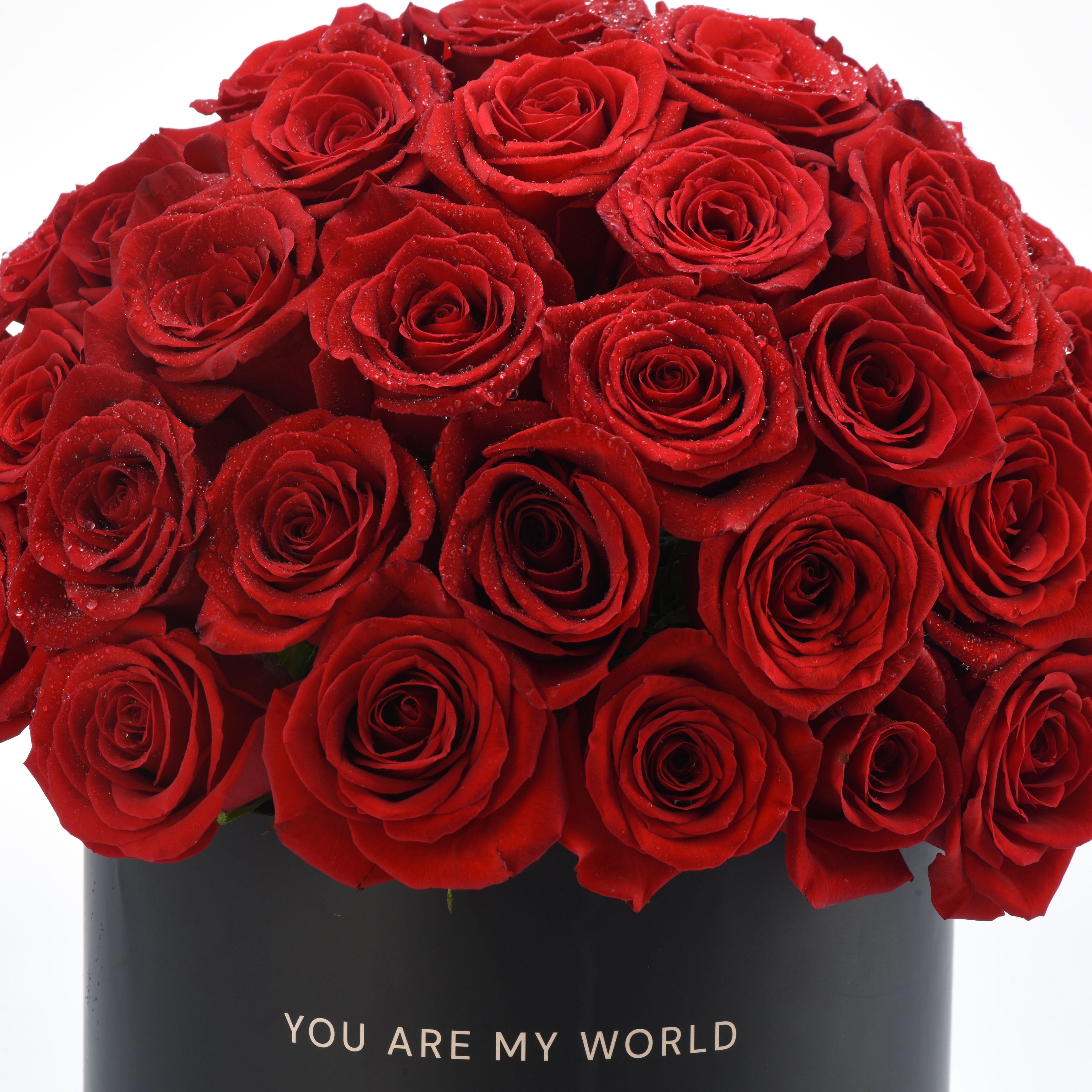 Timeless Love - Zuvees.ae