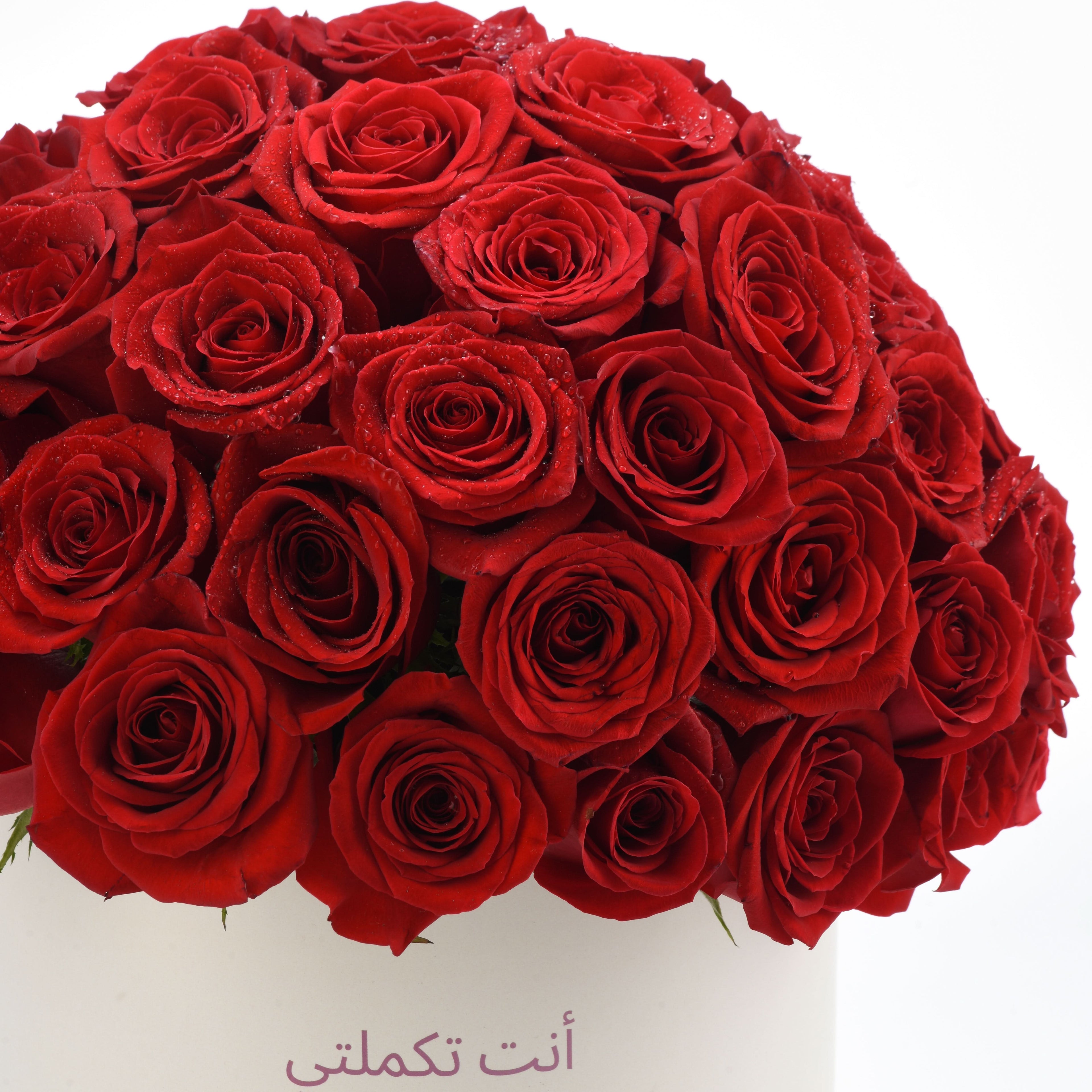 Timeless Love - Zuvees.ae