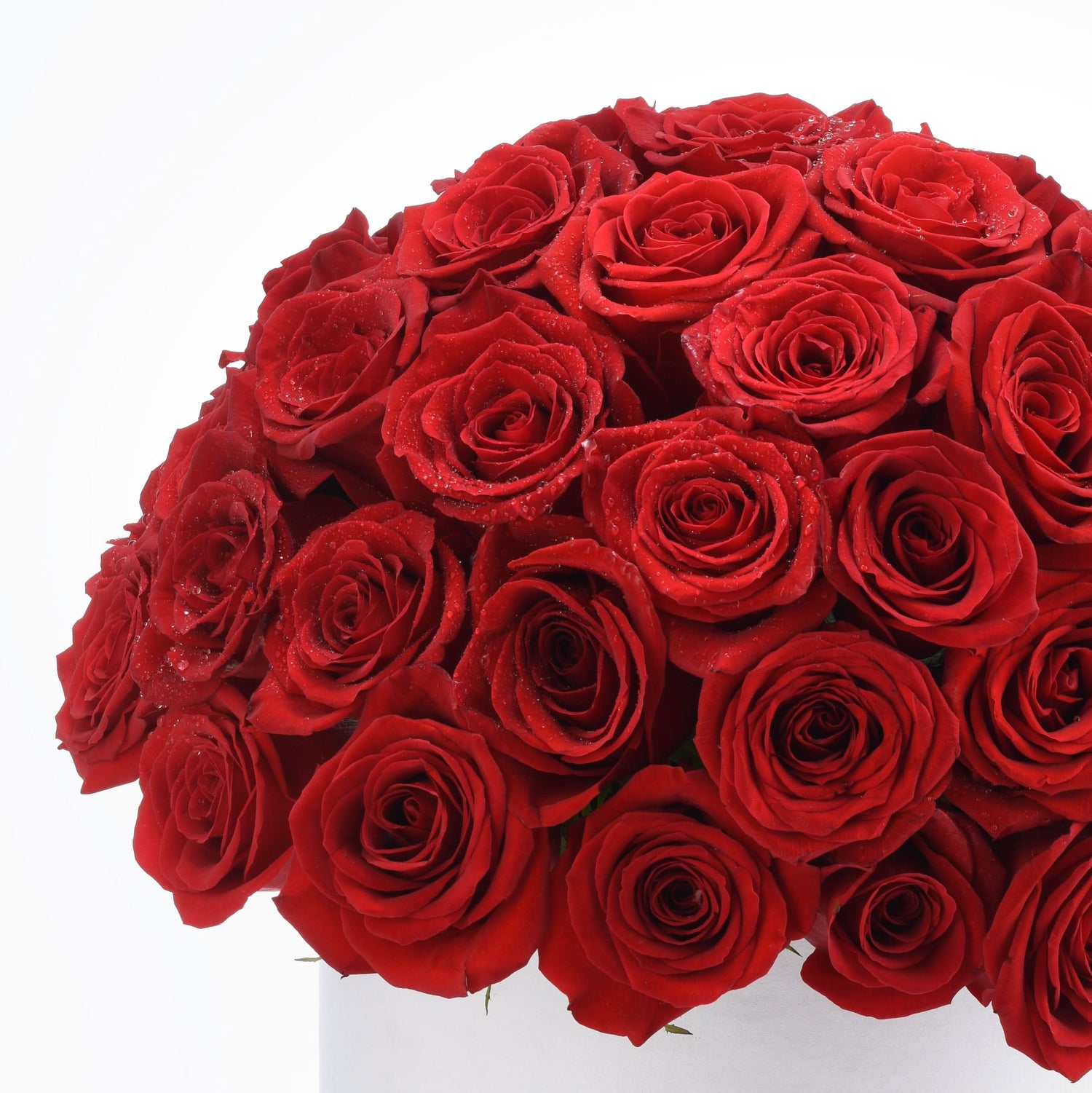 Timeless Love - Zuvees.ae