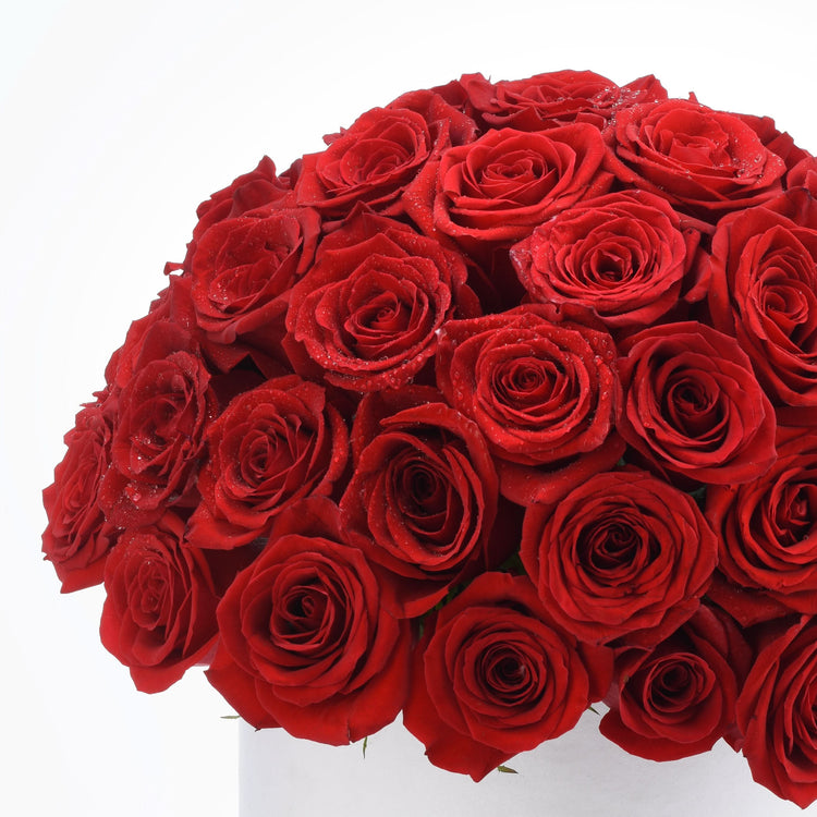 Timeless Love - Zuvees.ae