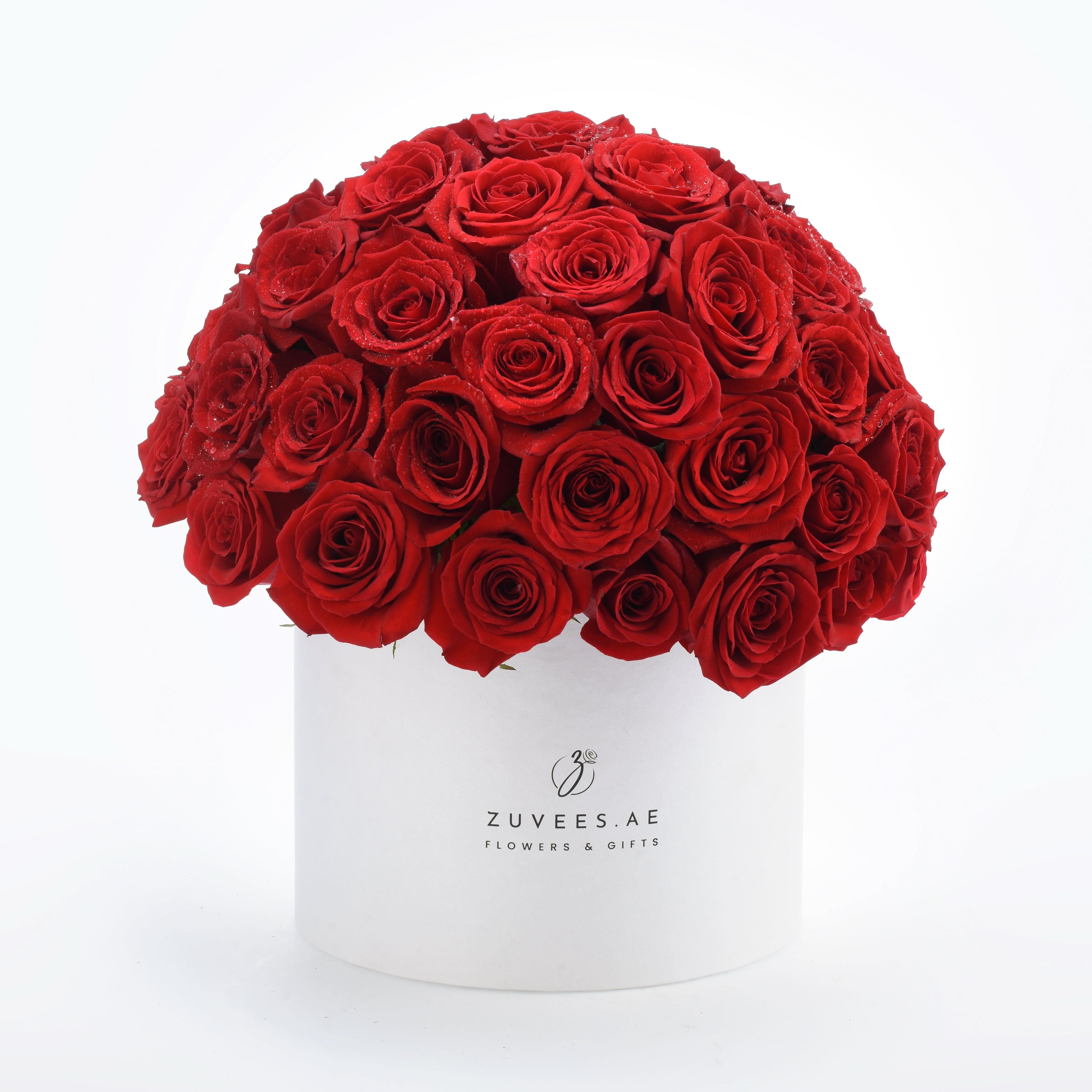 Timeless Love - Zuvees.ae