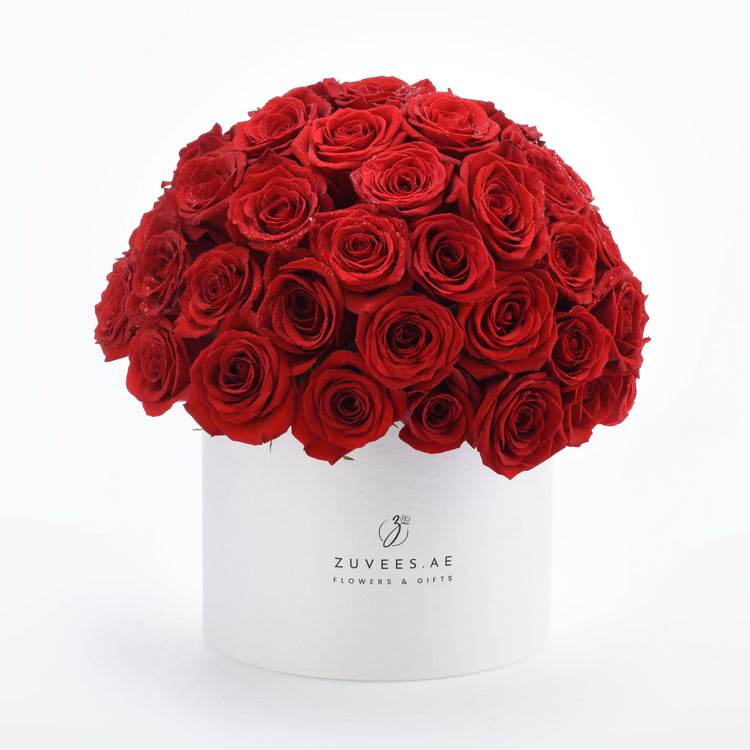 Timeless Love - Zuvees.ae