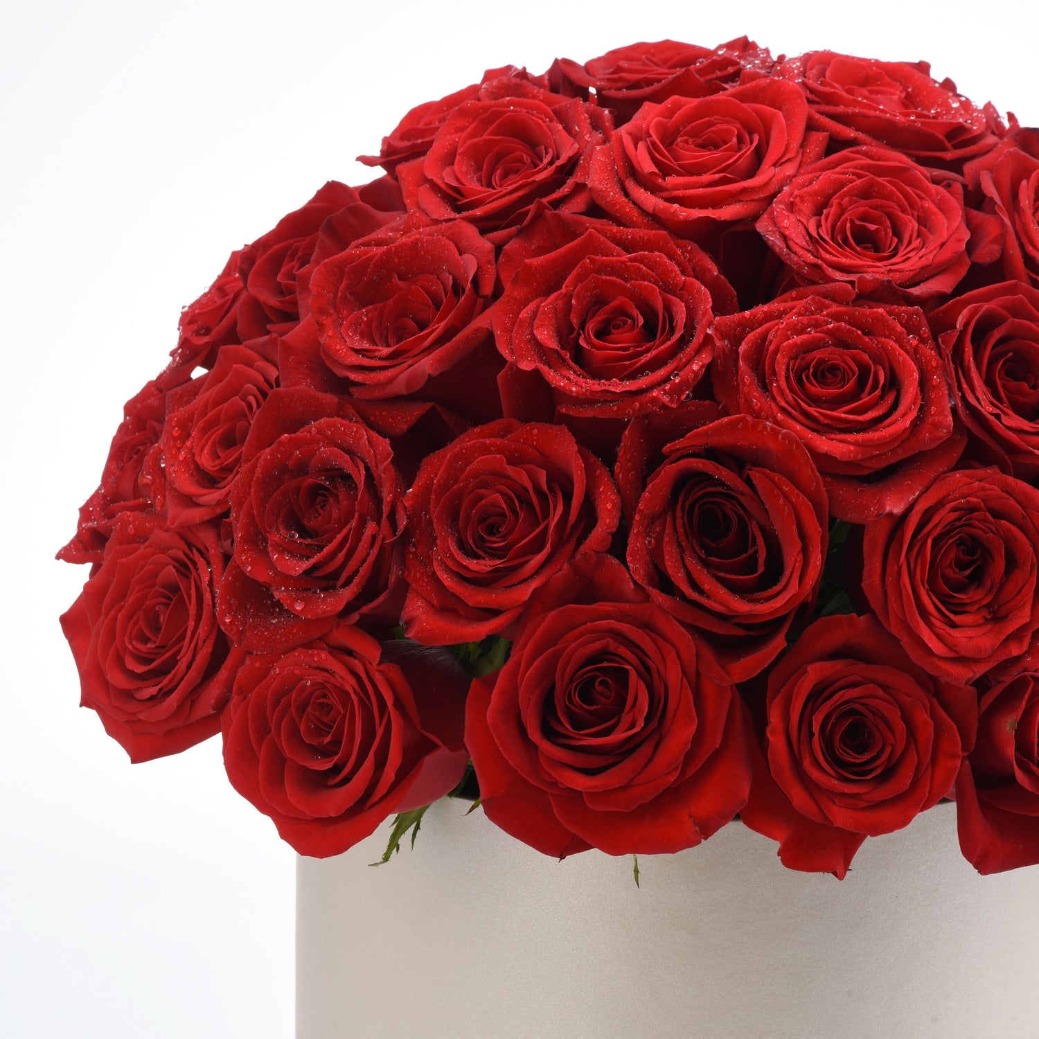 Timeless Love - Zuvees.ae