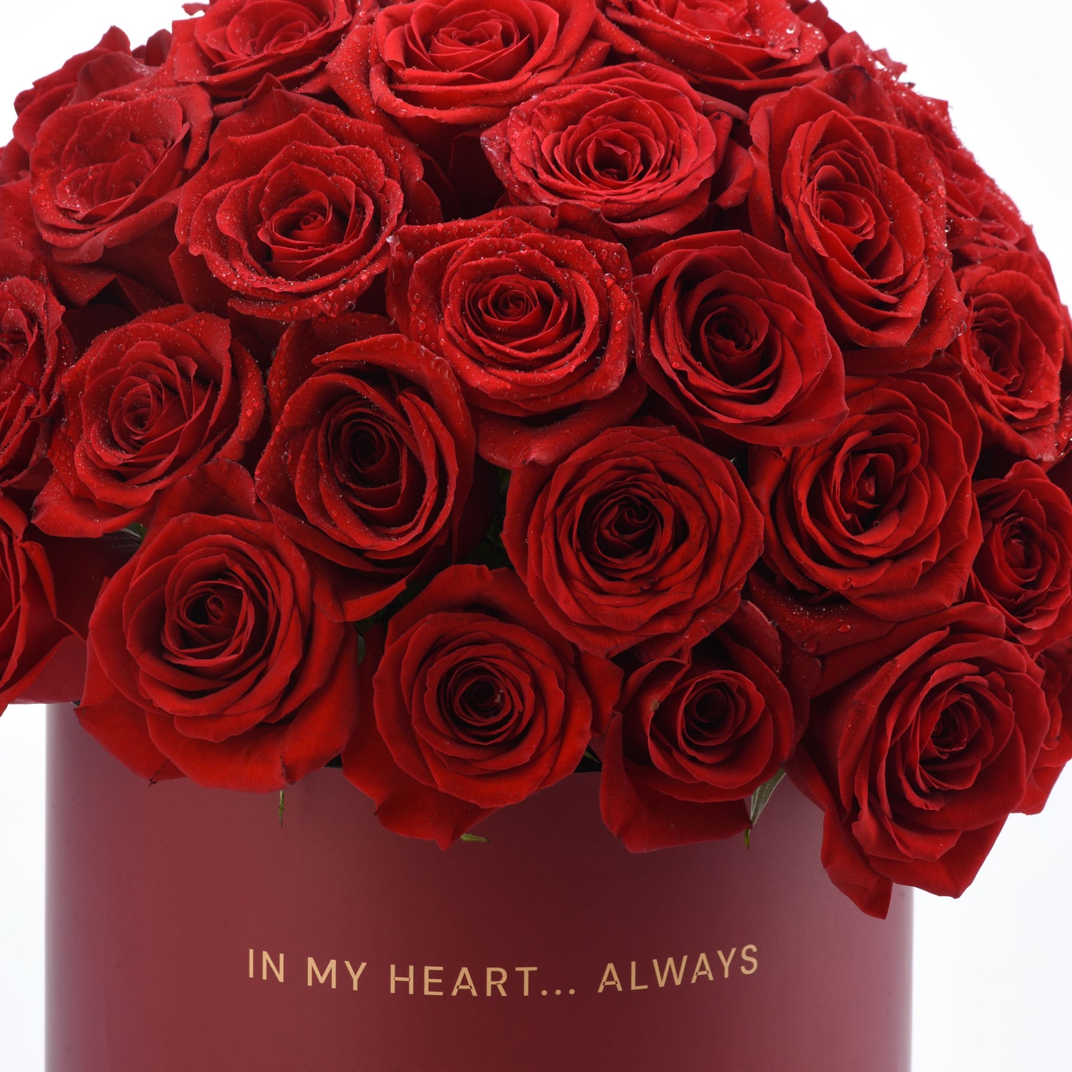 Timeless Love - Zuvees.ae