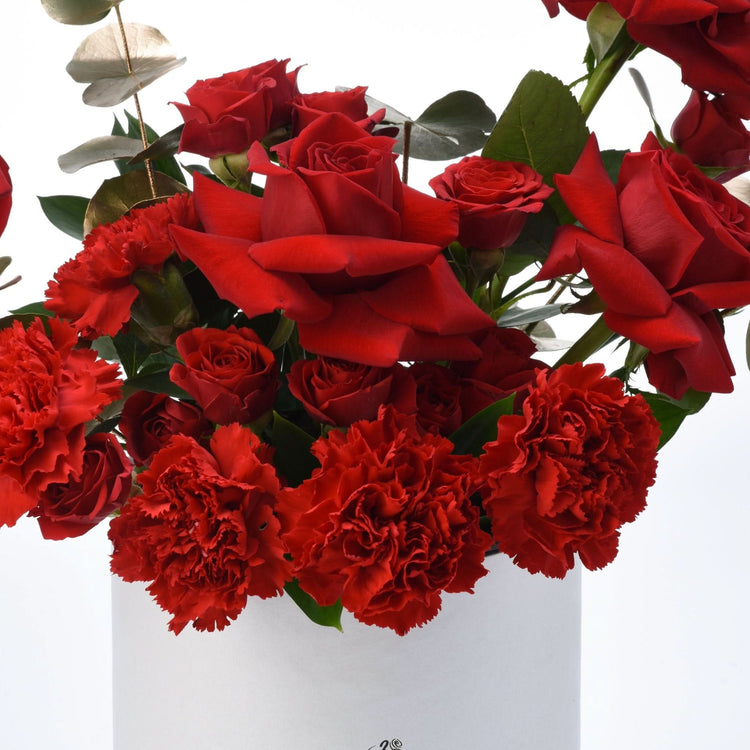 Vibrant red roses and carnations in white vase, lush green leaves accent.