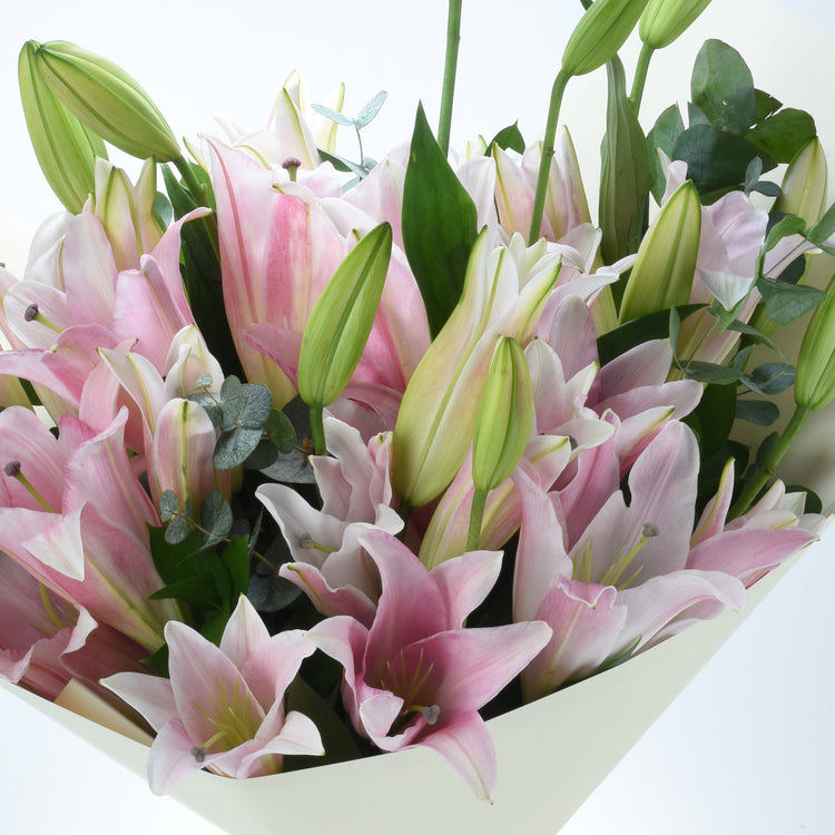 Soft pink lilies with green buds and leaves in cream wrap.