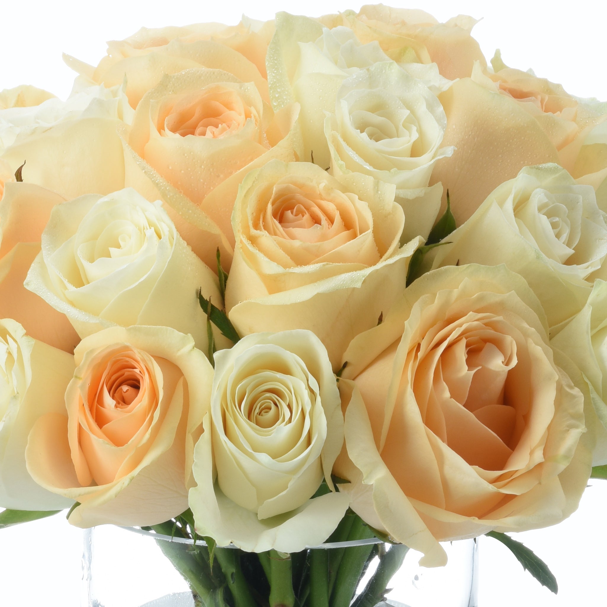 Peach & Ivory Harmony Vase Arrangement