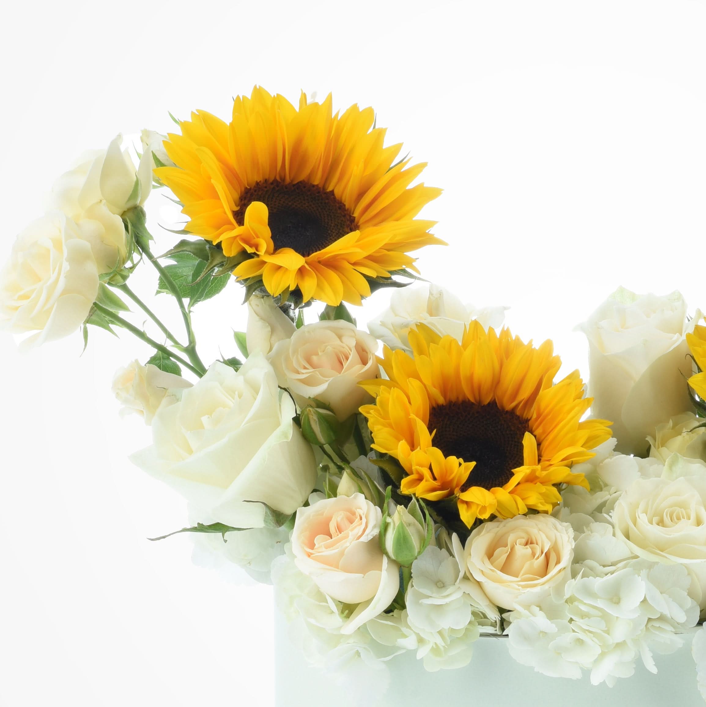 Sunflower & Chocolate Passion Gift Box