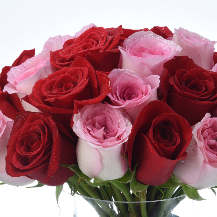 Vibrant red and pink roses glisten with dewdrops in clear vase.