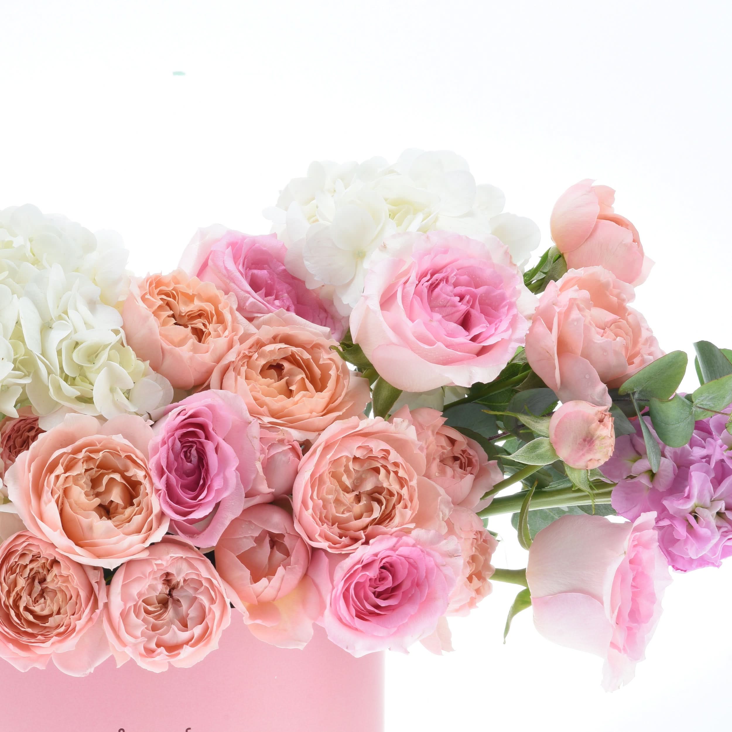 Soft pink, peach, and white roses with hydrangeas in pastel vase.